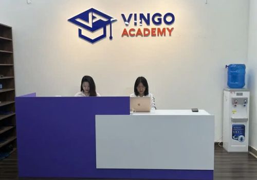 Vingo Academy - Địa điểm học tiếng Anh đơn giản cho người mất gốc