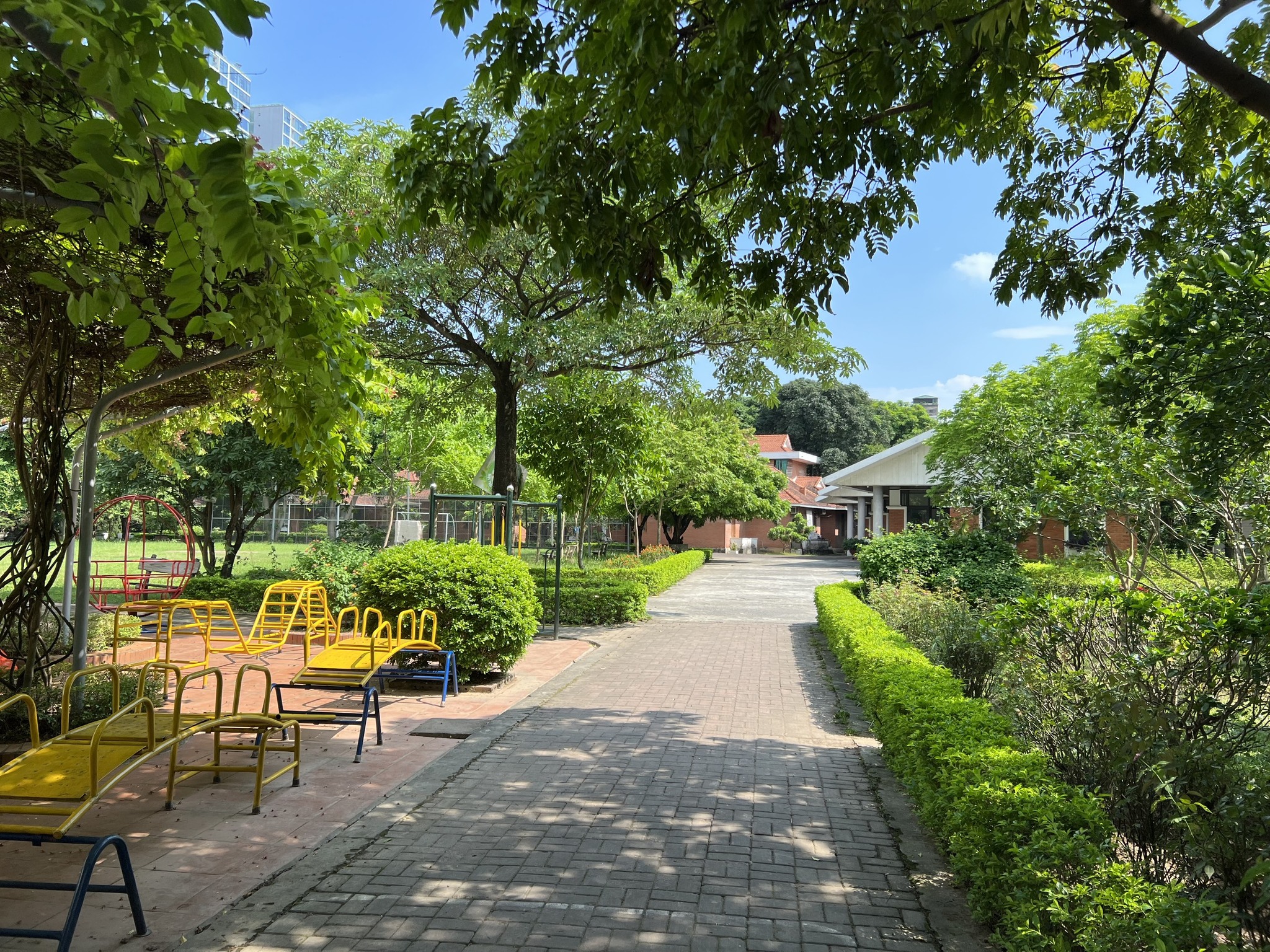 445799500_122148852902124821_494652223023415277_n